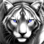 jzqtsykqcb-s_7d16249a.png