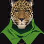 kpynigqpbb-s_e18279c6.png